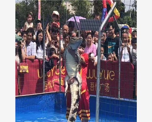 施秉縣出租海獅表演一場(chǎng)多少錢(qián)